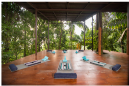 Yoga mats in jungle hut at tropical retreat